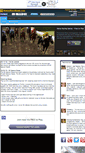 Mobile Screenshot of horseracegame.com